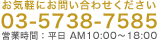 お気軽にお問い合わせ下さい 03-5738-7585